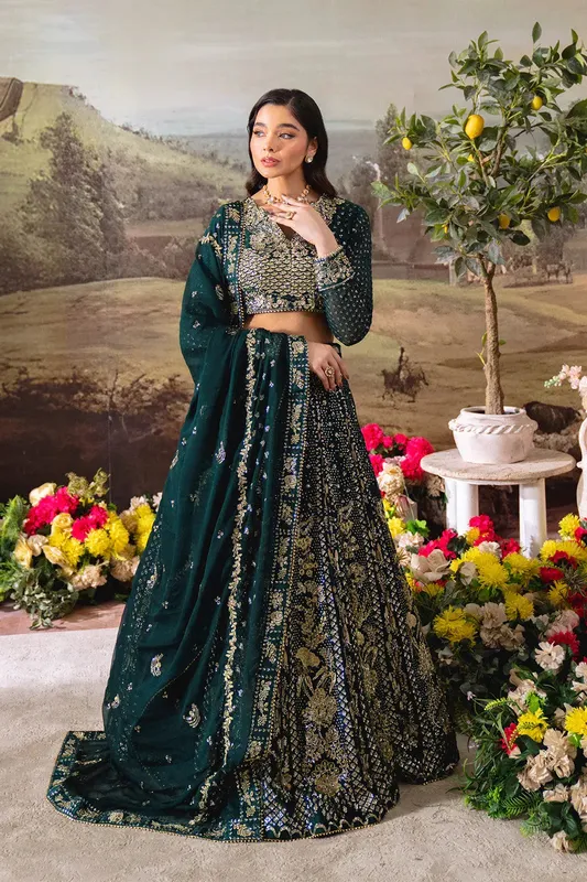 Neeshay Dastaan Formals 25 Mineral Green Organza – view 1 – Poshaq