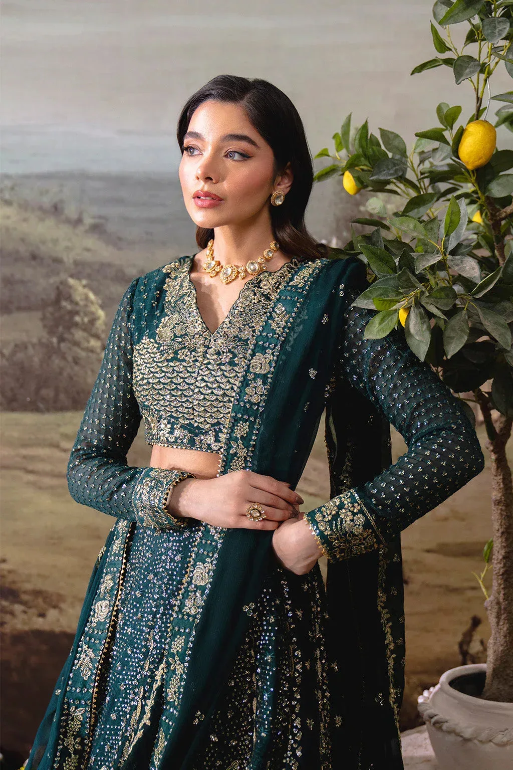 Neeshay Dastaan Formals 25 Mineral Green Organza – view 4 – Poshaq