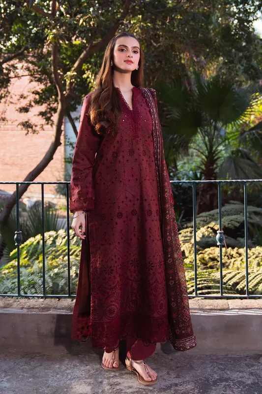 Neeshay Summer Lines Printkari 25 Dark Maroon Organza – view 1 – Poshaq