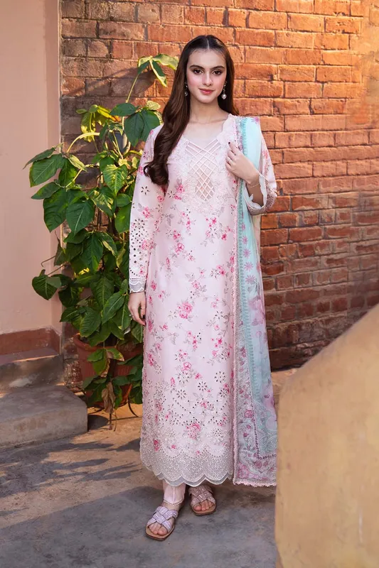 Neeshay Summer Lines Printkari 25 Pink Organza – view 1 – Poshaq