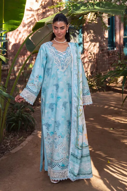 Neeshay Summer Lines Printkari 25 Sky Blue Organza – view 1 – Poshaq