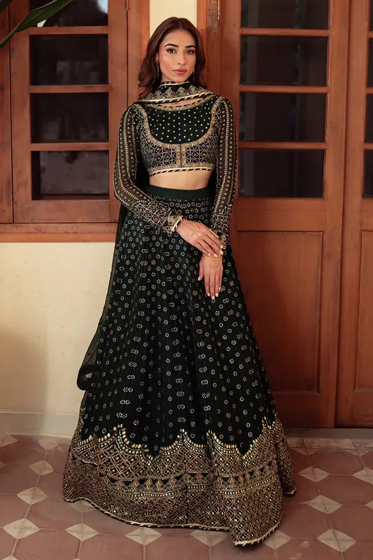Neeshay Dastaan Luxury Chiffon Green Organza – view 1 – Poshaq