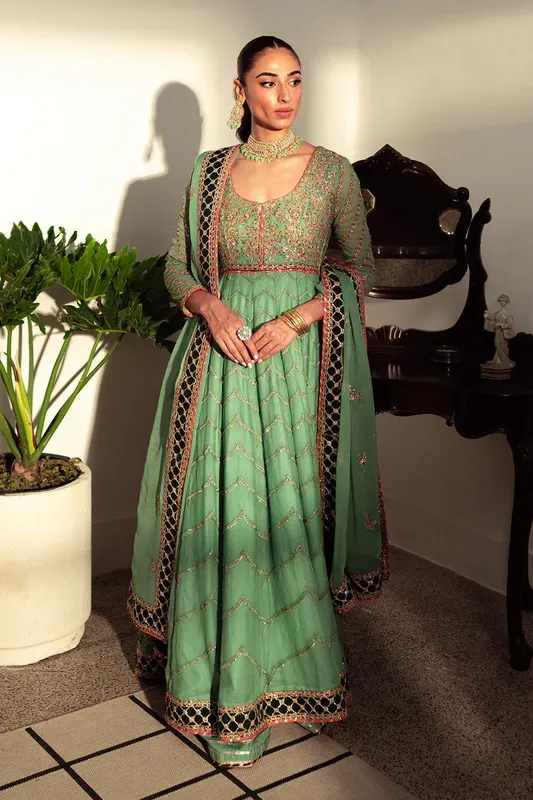 Neeshay Dastaan Luxury Chiffon Green Organza – view 1 – Poshaq