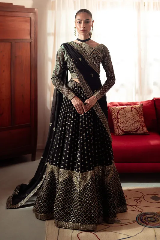 Neeshay Dastaan Luxury Chiffon Black Organza – view 1 – Poshaq