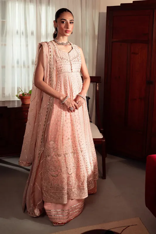 Neeshay Dastaan Luxury Chiffon Pink Organza – view 1 – Poshaq
