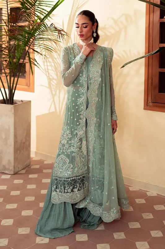 Neeshay Dastaan Luxury Chiffon Mint Organza – view 1 – Poshaq