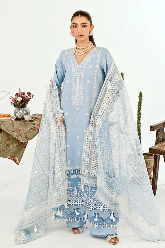 Neeshay Zoella Lawn Collection Blue Organza – view 1 – Poshaq