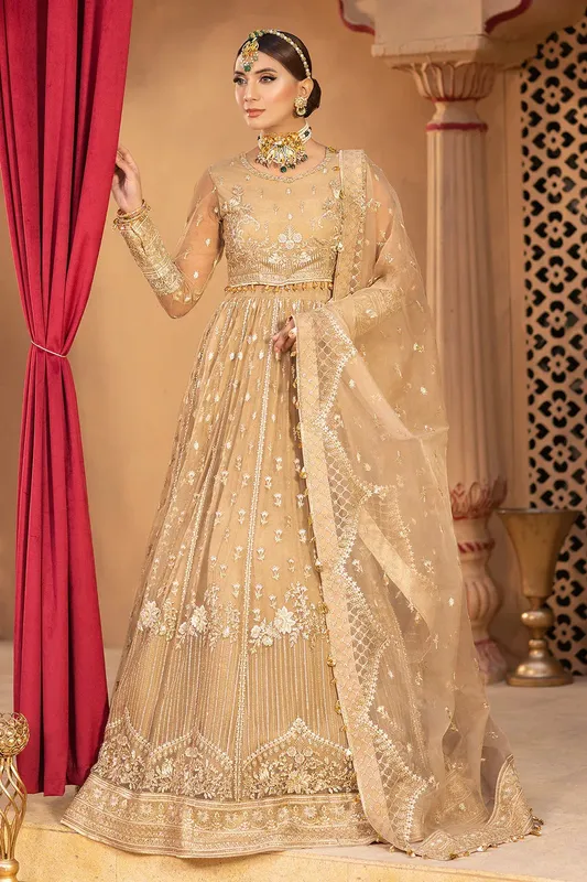 Neeshay Dastgah Festive Formals Gold Organza – view 1 – Poshaq