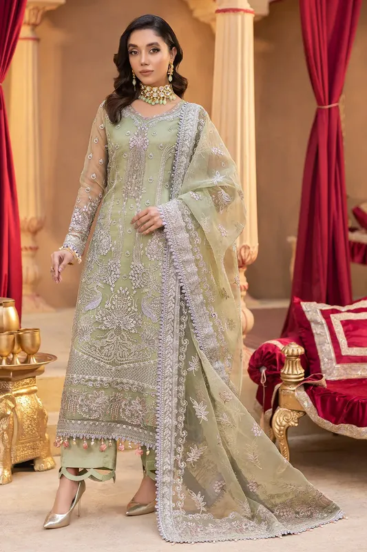 Neeshay Dastgah Festive Formals Green Organza – view 1 – Poshaq