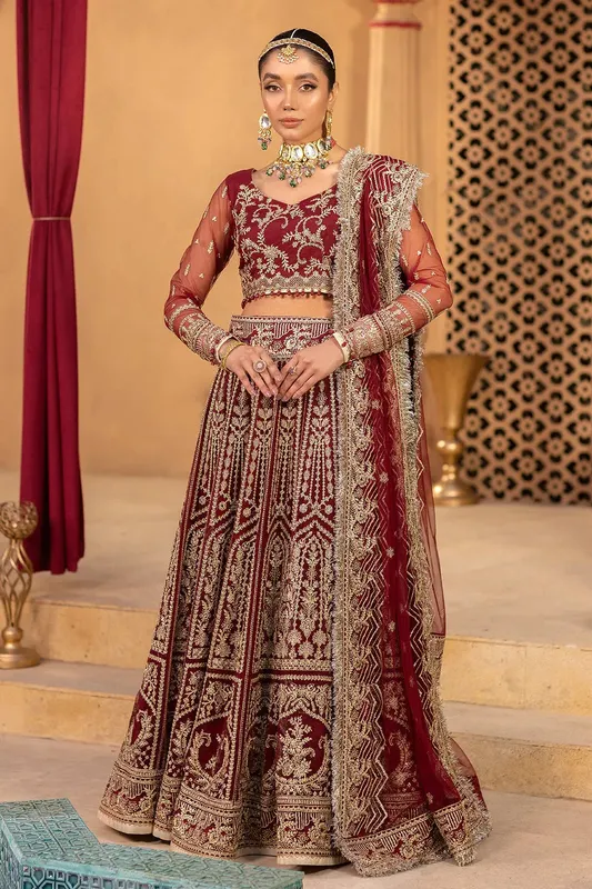 Neeshay Dastgah Festive Formals Maroon Organza – view 1 – Poshaq