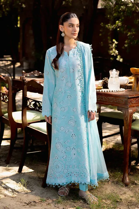 Neeshay Summer Lines Printkari Sky Blue Chiffon – view 1 – Poshaq