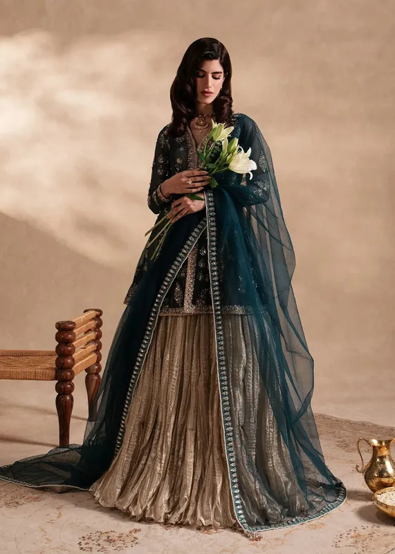 Sadaf Fawad Khan Nafees Formals 25 Gold Tissue – view 1 – Poshaq