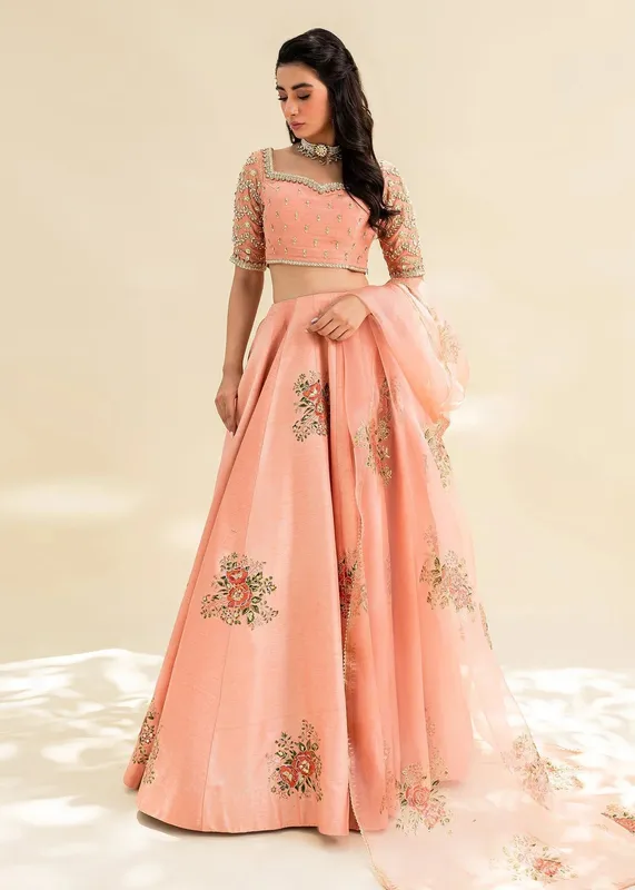 Sadaf Fawad Khan Zinnia Festive Formals Peach Raw Silk – view 1 – Poshaq