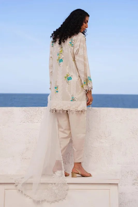 Sana Safinaz Muzlin Spring 24 Grey Organza – view 1 – Poshaq
