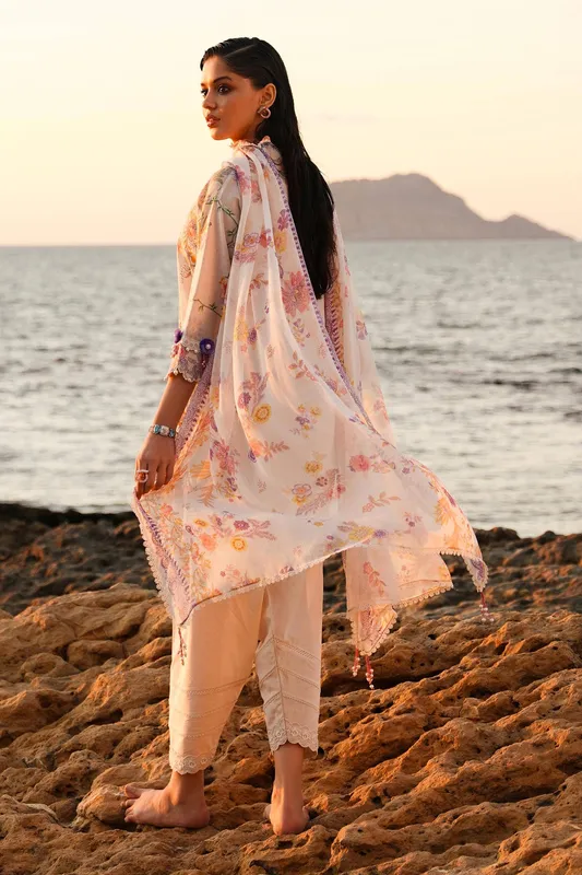Sana Safinaz Muzlin Spring 24 Silver Organza – view 1 – Poshaq