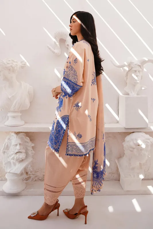 Sana Safinaz Muzlin Spring 24 Silver Organza – view 1 – Poshaq