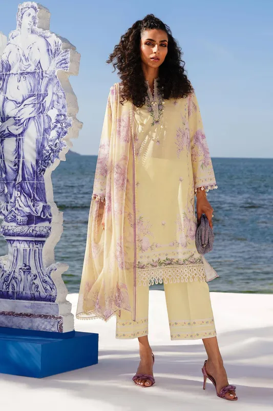 Sana Safinaz Muzlin Spring 24 Silver Organza – view 1 – Poshaq