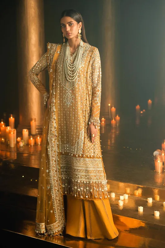 Sana Safinaz Luxury Collection 24 Orange Organza – view 1 – Poshaq