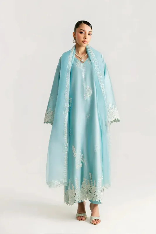 Saira Rizwan Silk Pret 25 Light Sky Blue Organza – view 1 – Poshaq