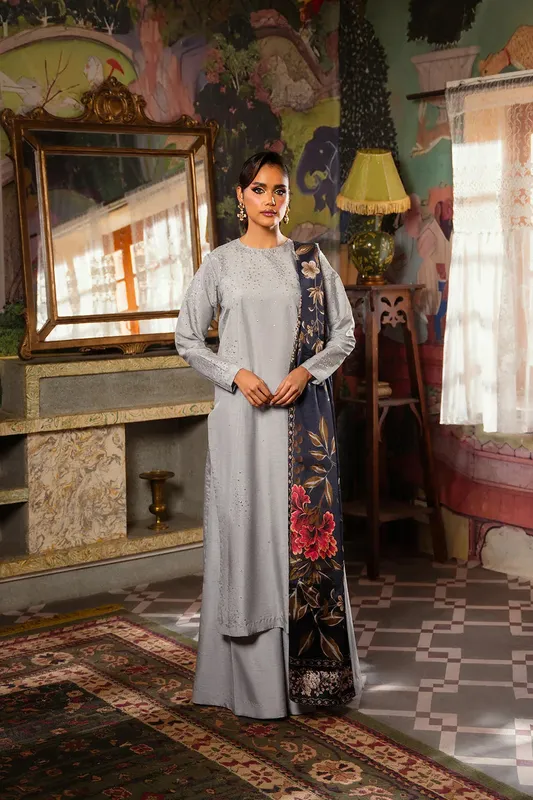 Saira Rizwan Dahini Silk Pret Cloud Gray Raw Silk – view 1 – Poshaq