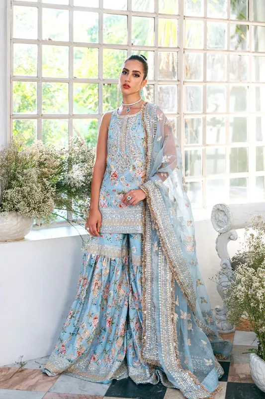 Saira Rizwan Naqsh Festive Blue Raw Silk – view 1 – Poshaq