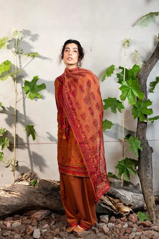 Sobia Nazir Fall Edit 24 Rust Organza – view 1 – Poshaq