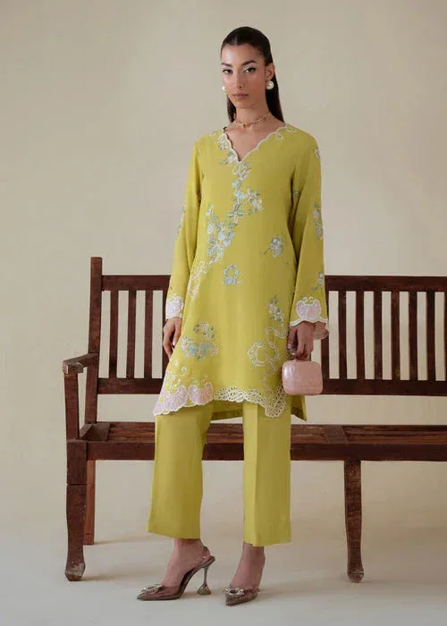 Saira Shakira Basic Pret 25 Lime Green Karandi – view 1 – Poshaq
