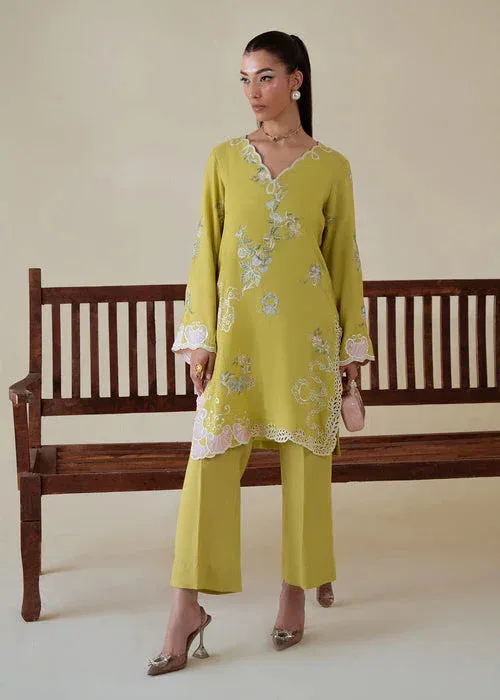 Saira Shakira Basic Pret 25 Lime Green Karandi – view 2 – Poshaq