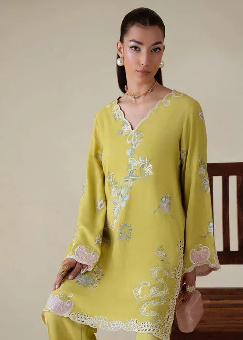 Saira Shakira Basic Pret 25 Lime Green Karandi – view 3 – Poshaq