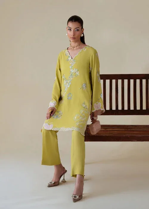 Saira Shakira Basic Pret 25 Lime Green Karandi – view 4 – Poshaq