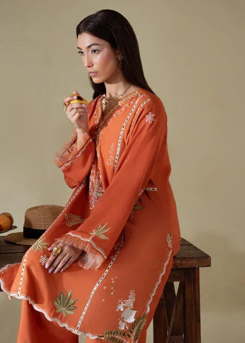 Saira Shakira Basic Pret 25 Burnt Orange Karandi – view 4 – Poshaq