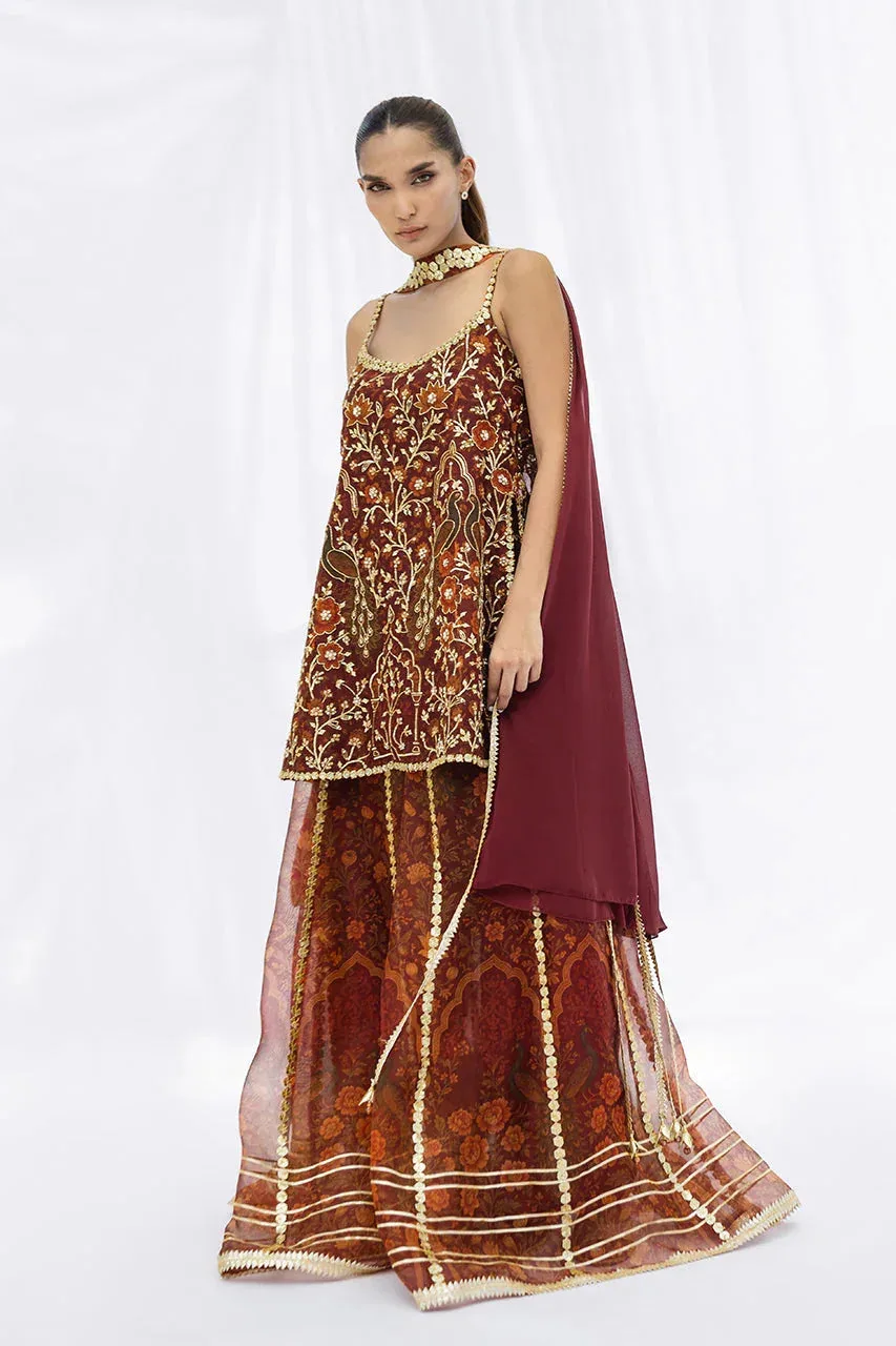 Sania Maskatiya Fall Festive Glimmer Maroon Georgette – view 4 – Poshaq