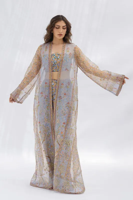 Sania Maskatiya Fall Festive Glimmer Grey Organza – view 1 – Poshaq