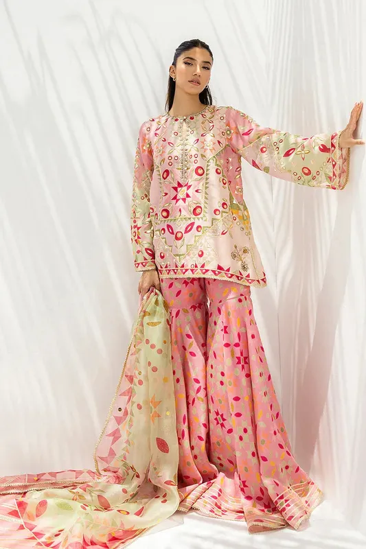 Sania Maskatiya Fall Festive Glimmer Pink Organza – view 1 – Poshaq