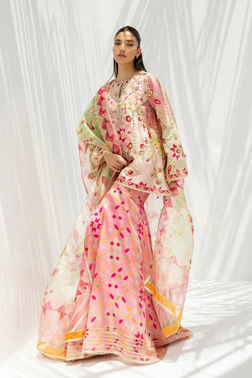 Sania Maskatiya Fall Festive Glimmer Pink Organza – view 4 – Poshaq