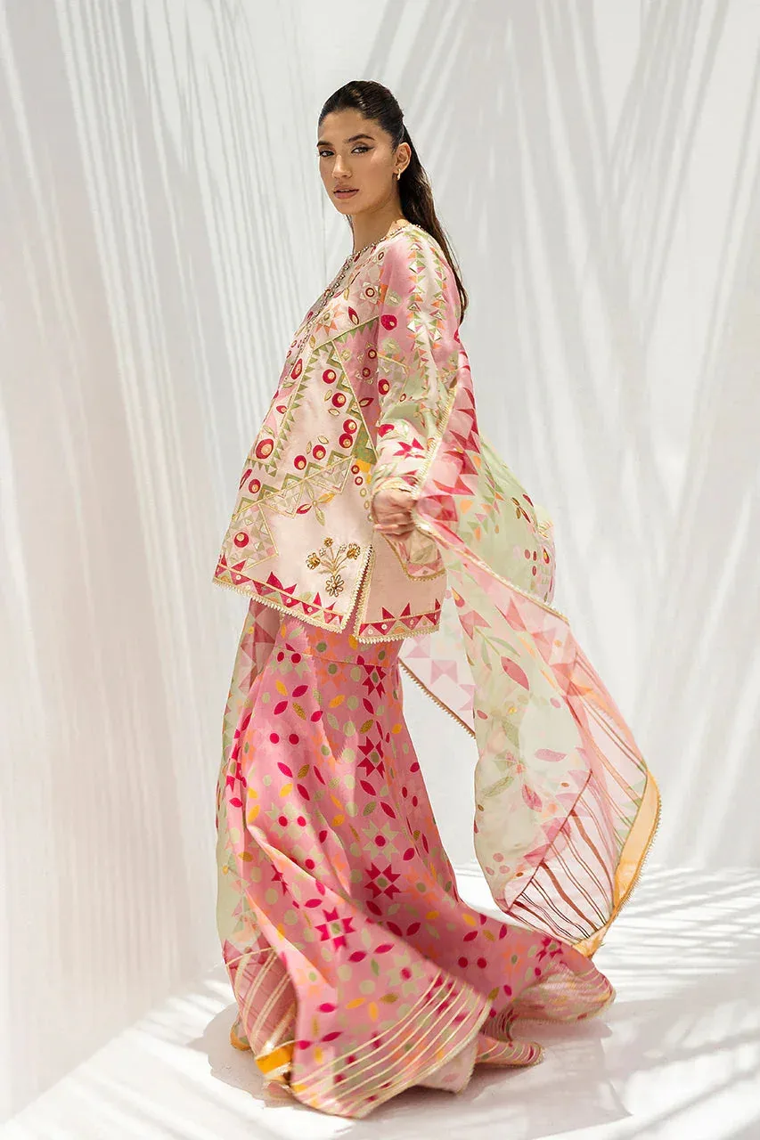 Sania Maskatiya Fall Festive Glimmer Pink Organza – view 5 – Poshaq