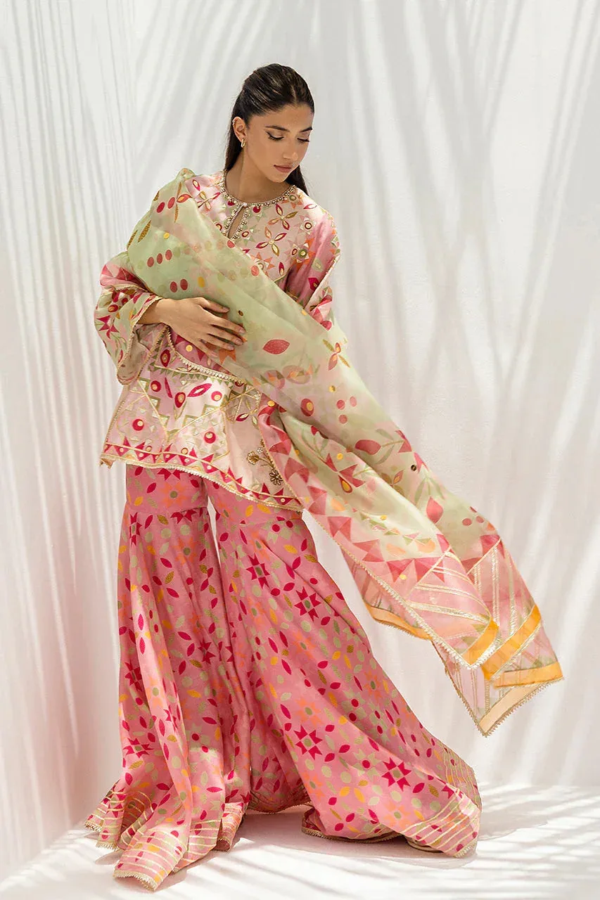 Sania Maskatiya Fall Festive Glimmer Pink Organza – view 6 – Poshaq