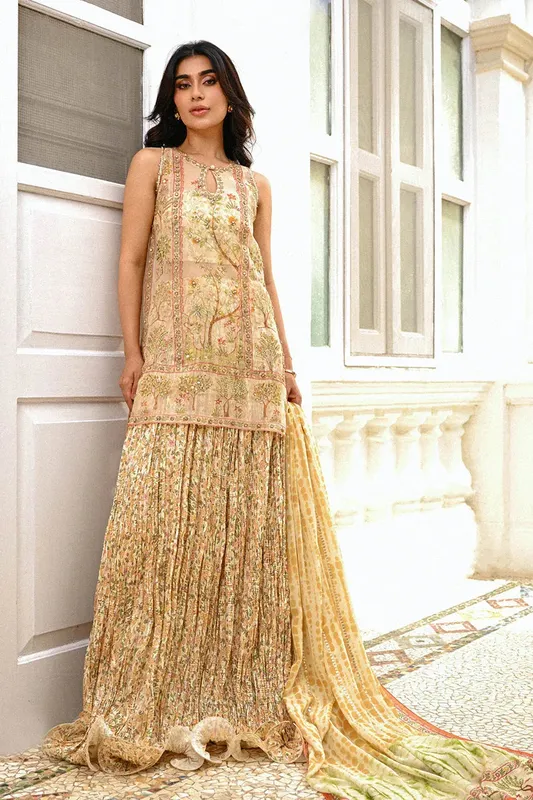 Sania Maskatiya Fall Festive Glimmer Beige Georgette – view 1 – Poshaq
