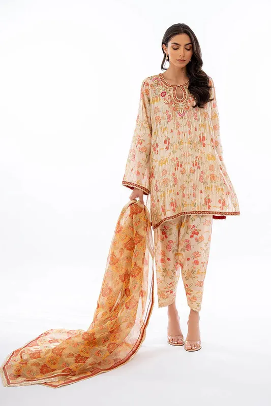 Sania Maskatiya Eid Collection Beige Organza – view 1 – Poshaq