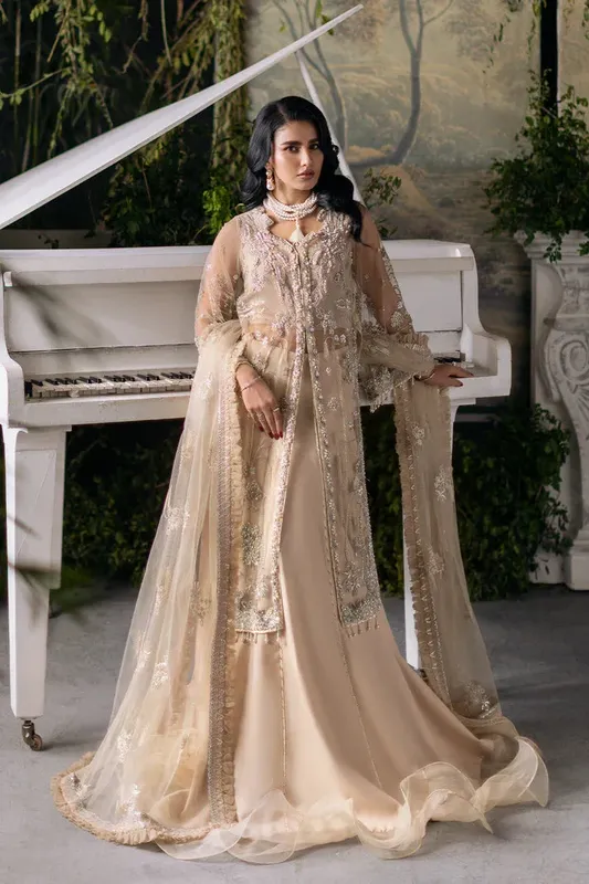 Saad Shaikh Flurie Formals Beige Net – view 1 – Poshaq