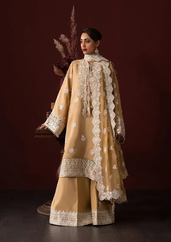 Aik Atelier Lady Aik 25 Light Brown Organza – view 1 – Poshaq