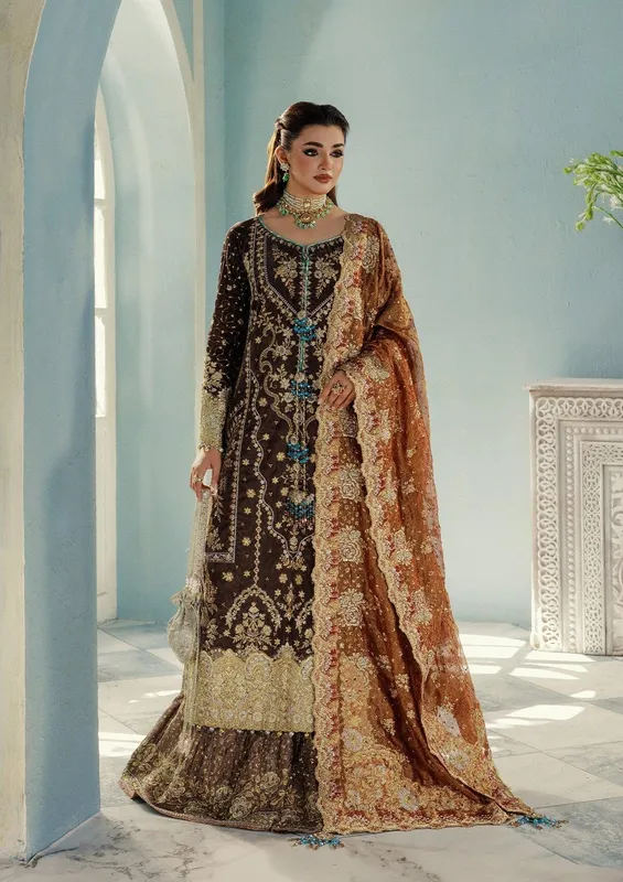 Aik Atelier Udaipur Velvet 25 Brown Organza – view 1 – Poshaq