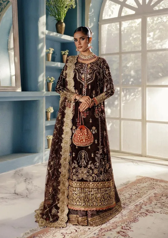 Aik Atelier Udaipur Velvet 25 Chocolate Brown Organza – view 1 – Poshaq