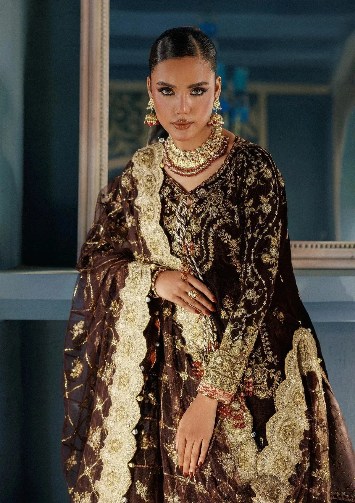 Aik Atelier Udaipur Velvet 25 Chocolate Brown Organza – view 5 – Poshaq