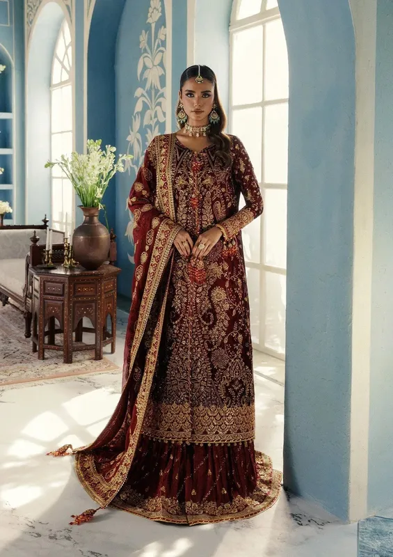 Aik Atelier Udaipur Velvet 25 Red Organza – view 1 – Poshaq
