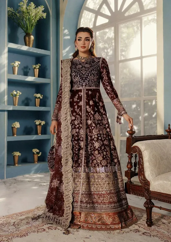 Aik Atelier Udaipur Velvet 25 Deep Red Organza – view 1 – Poshaq