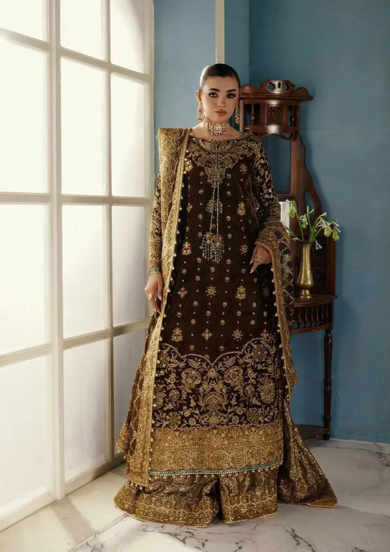 Aik Atelier Udaipur Velvet 25 Chocolate Brown Organza – view 1 – Poshaq