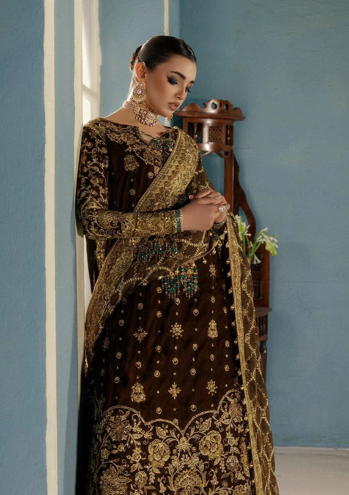 Aik Atelier Udaipur Velvet 25 Chocolate Brown Organza – view 5 – Poshaq