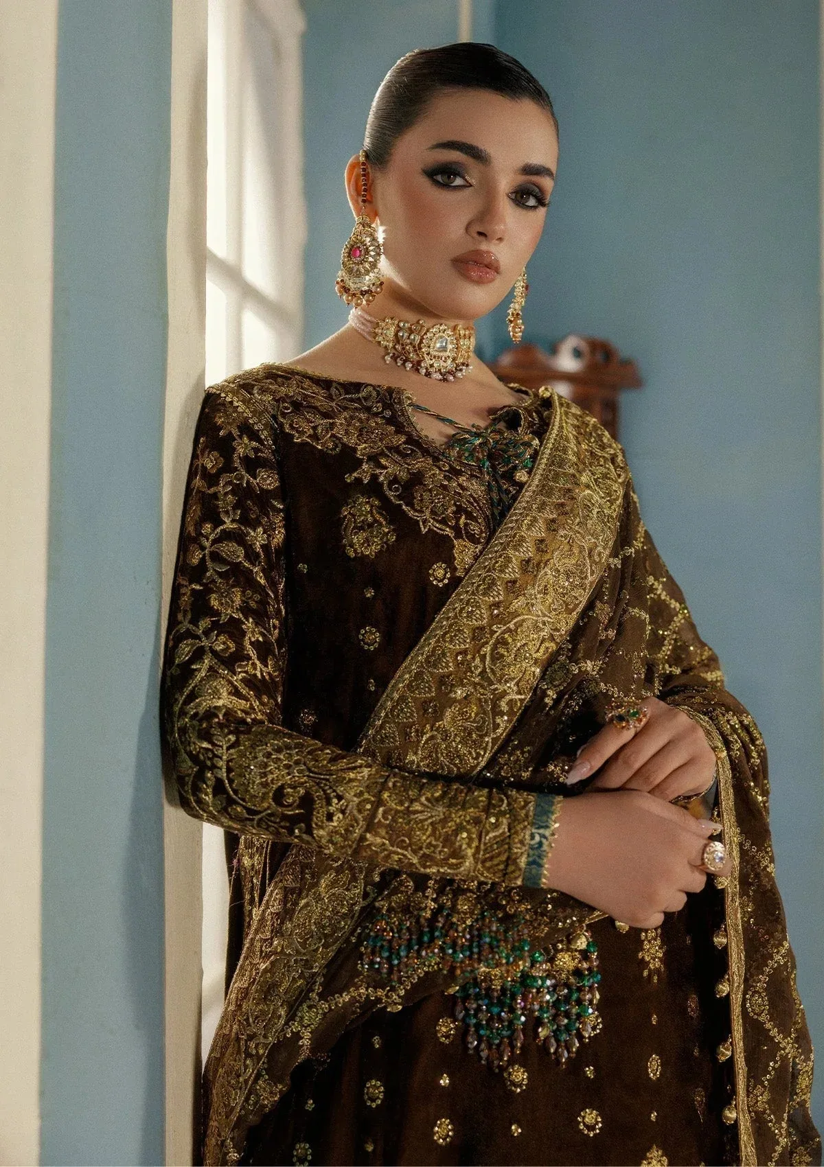 Aik Atelier Udaipur Velvet 25 Chocolate Brown Organza – view 6 – Poshaq