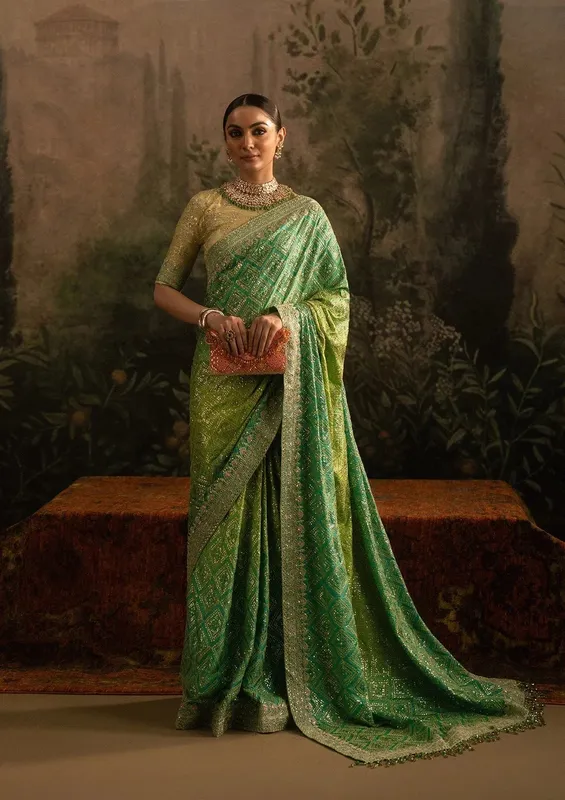 Aik Atelier Sari Edit 25 Green Organza – view 1 – Poshaq